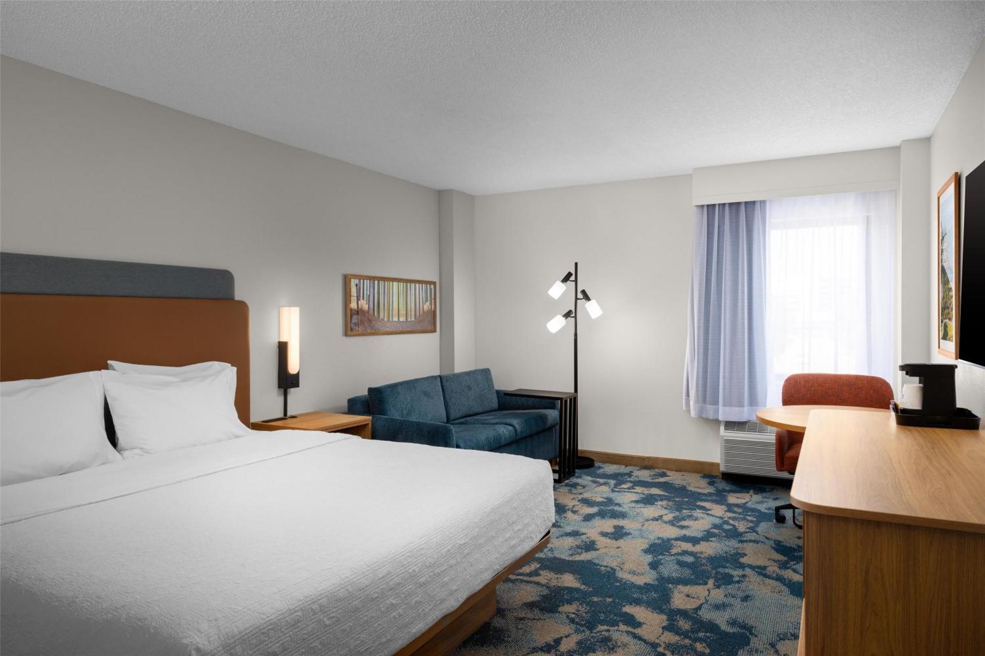 Larger Room, 1 King Bed & Sofa Bed